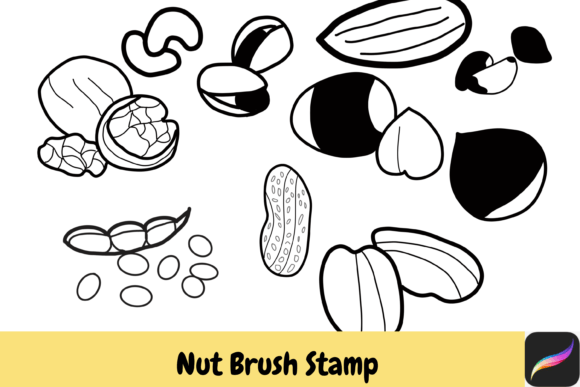 Download Nut Grain Procreate Brush Stamps IPAD - Grain Collection